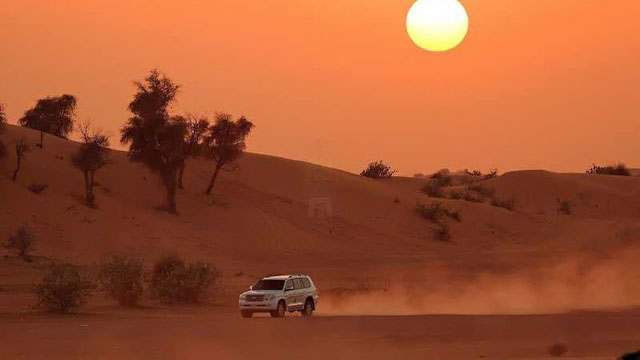 Evening Desert Safari Tours In Dubai
